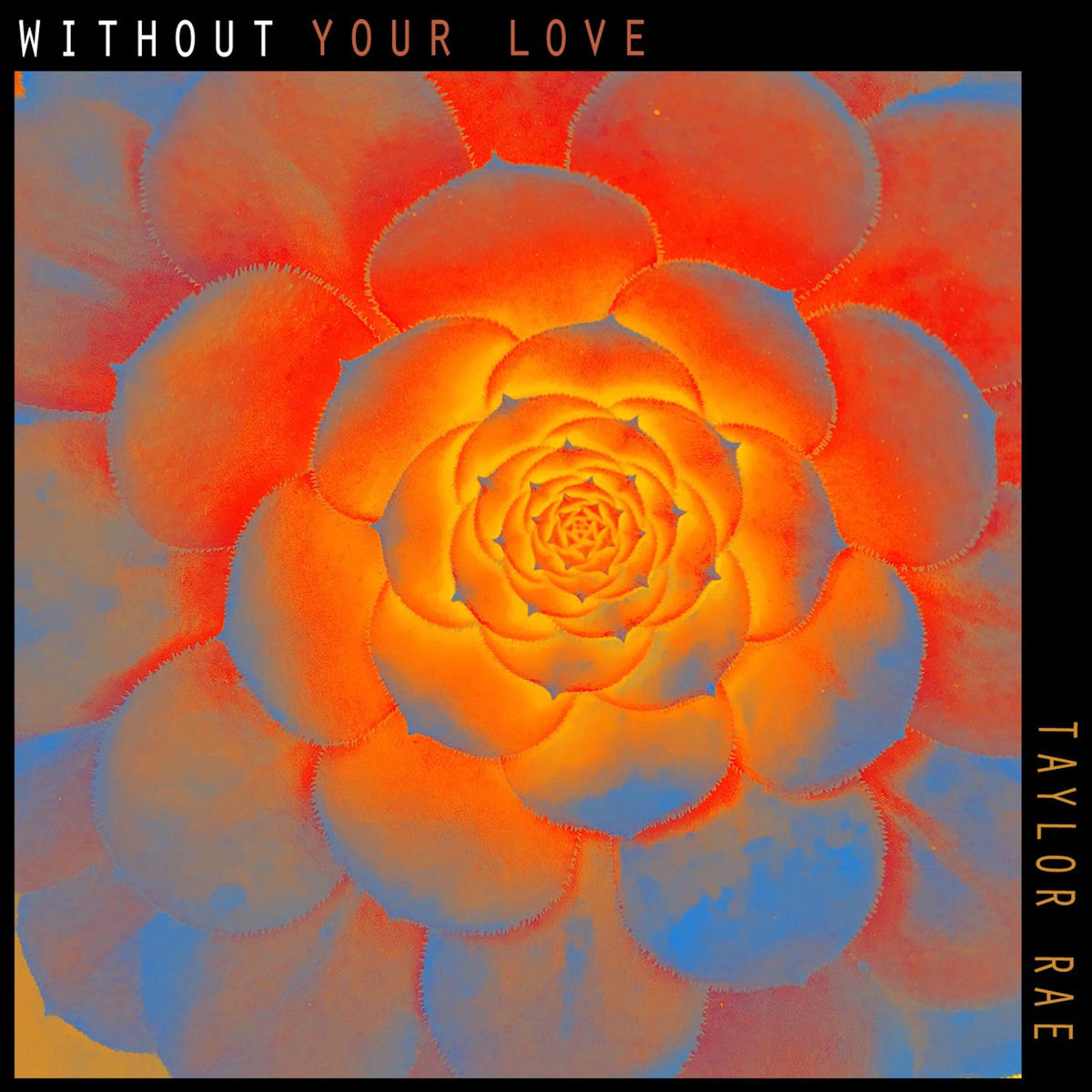 Album cover of Without Your Love