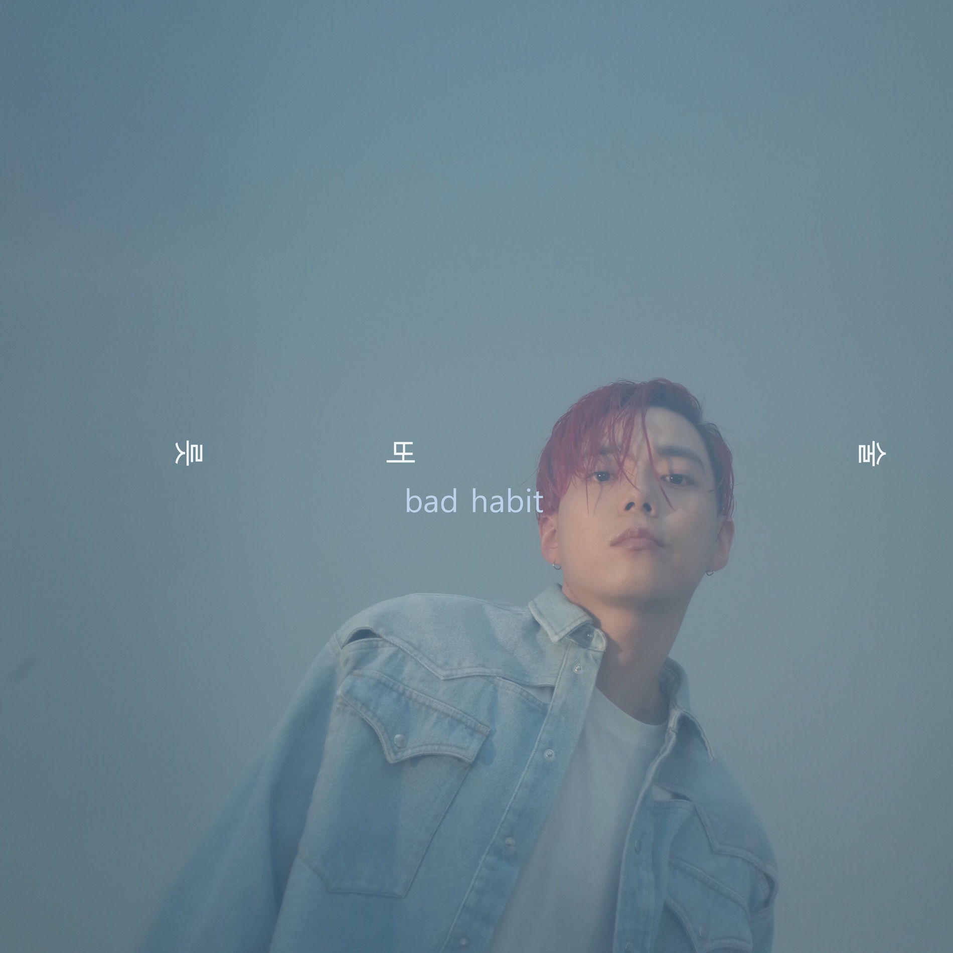 Album cover of bad habit