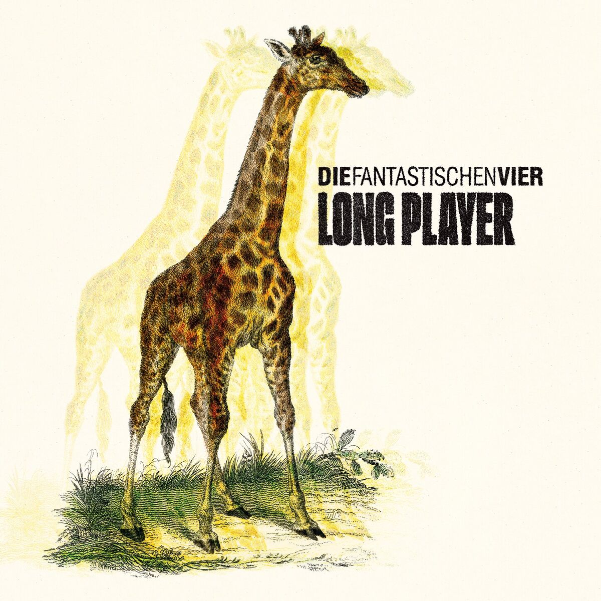 Album cover of Long Player