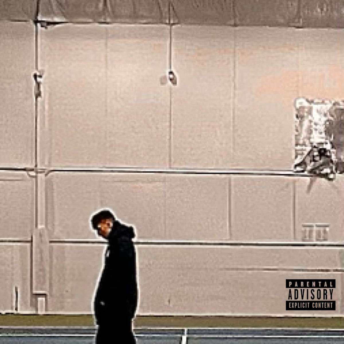 Album cover of GOLDY