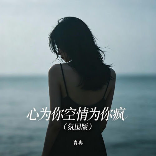 心为你空情为你疯 (氛围版)