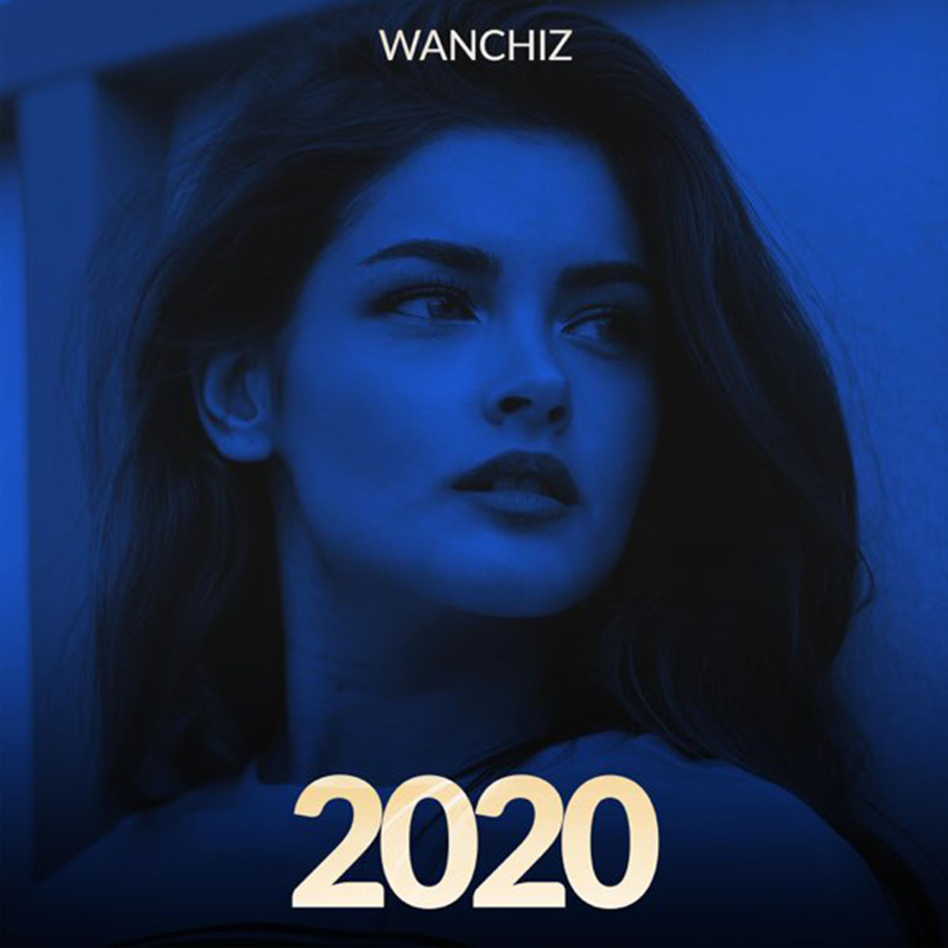 Album cover of Never wan't to lose you again