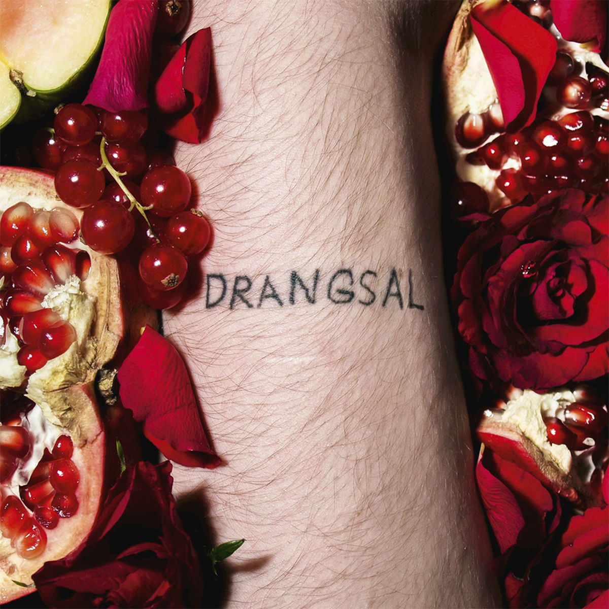 Album cover of Allan Align
