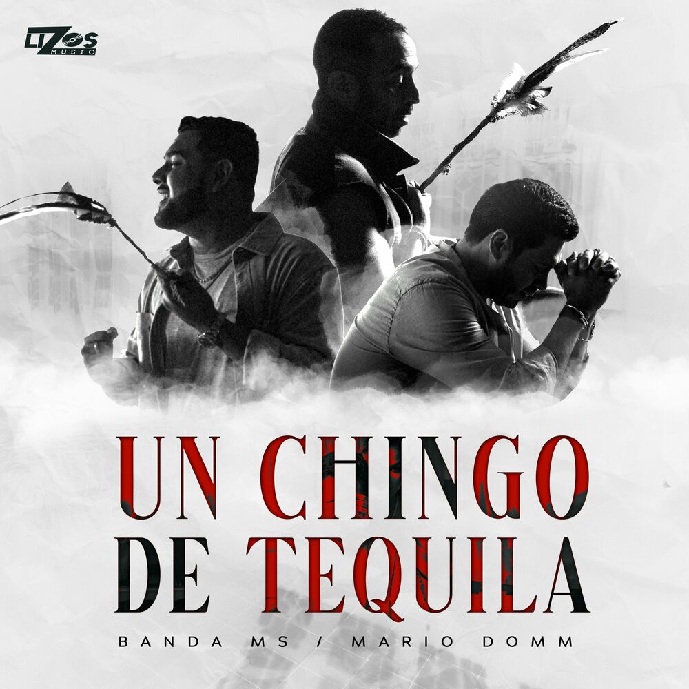 Picture of Un Chingo de Tequila