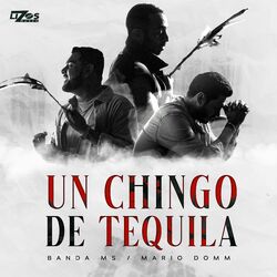 Cover of Un Chingo de Tequila