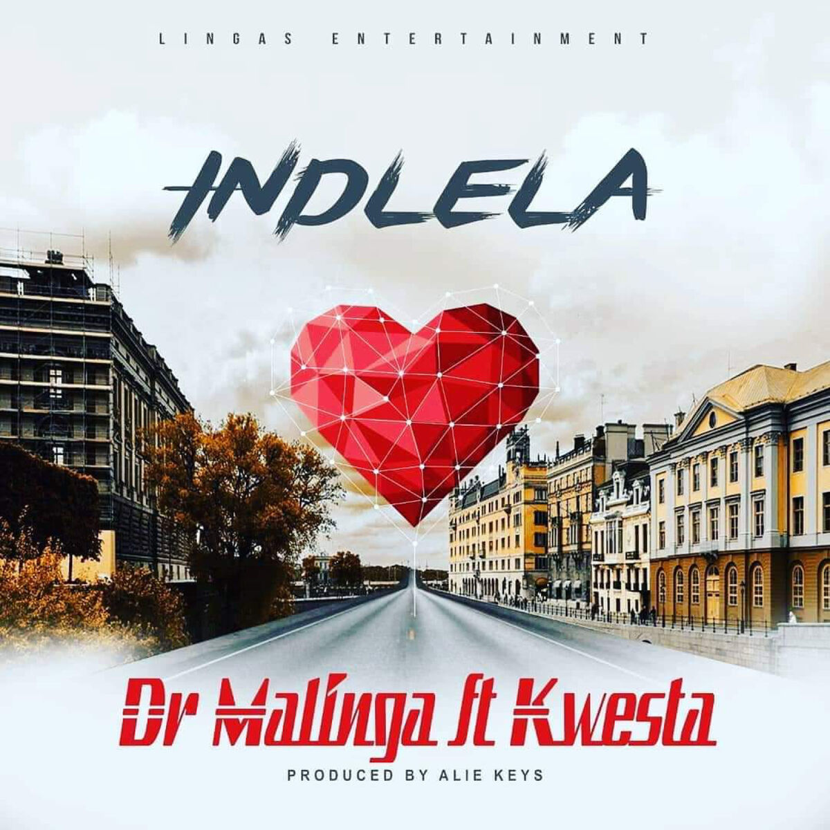 Album cover of Indlela