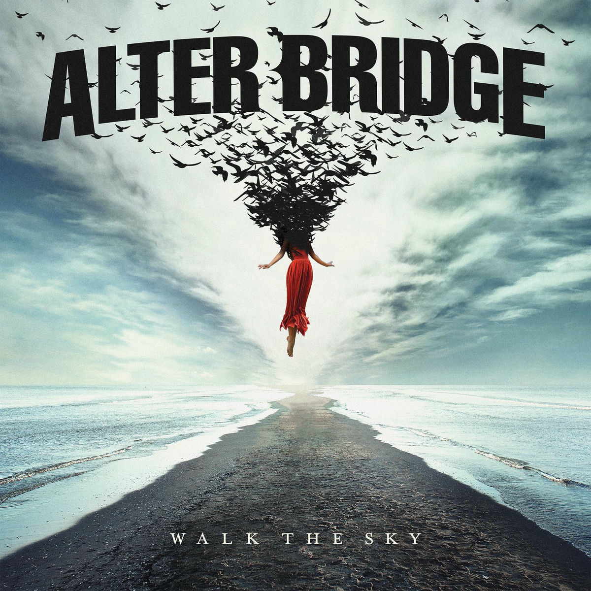 Album cover of Walk The Sky