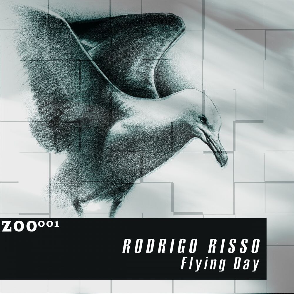 Picture of Flying Day
