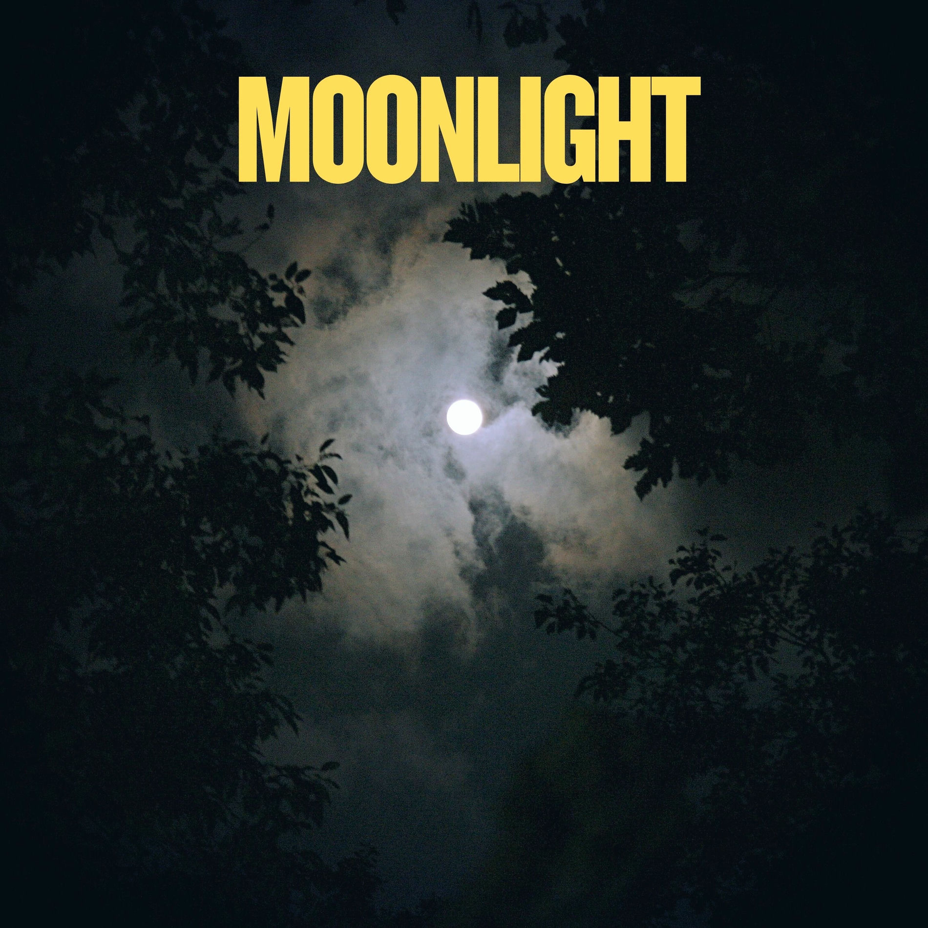 Album cover of Moonlight