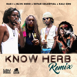 Cover of Know Herb Remix