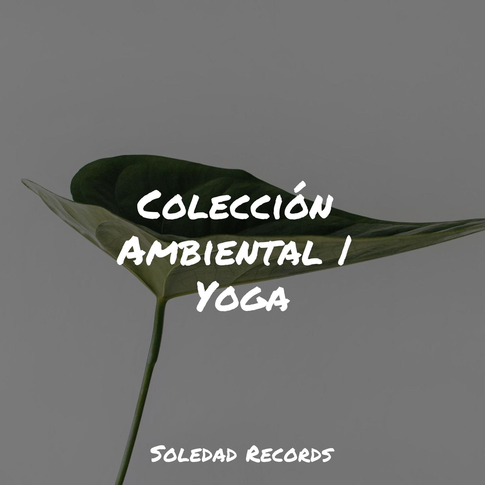 Album cover of Colección Ambiental | Yoga