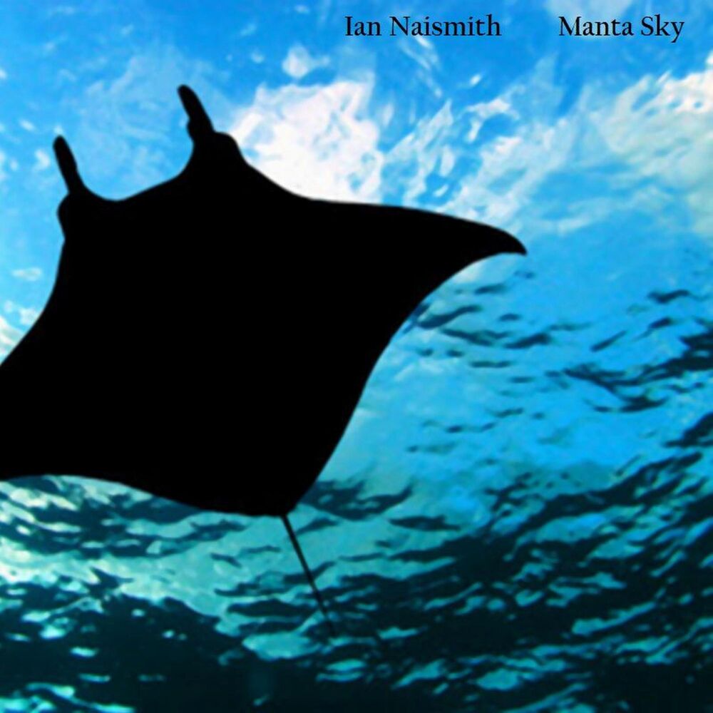 Picture of Manta Sky