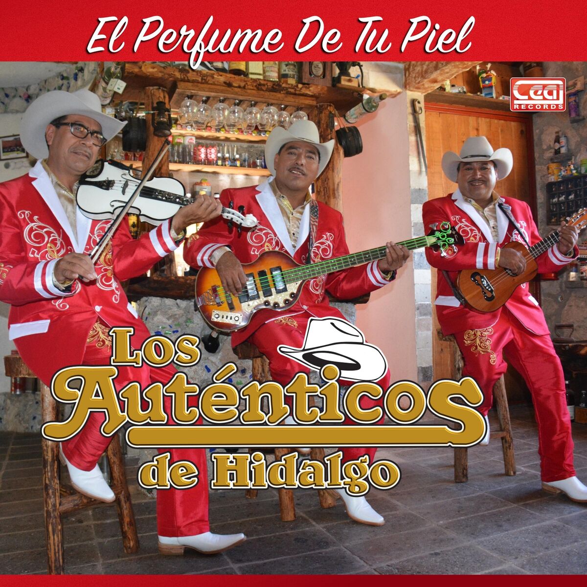 Album cover of El Perfume de Tu Piel