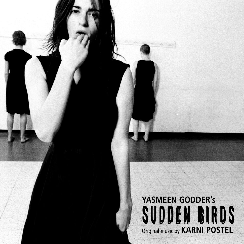 Picture of Sudden Birds