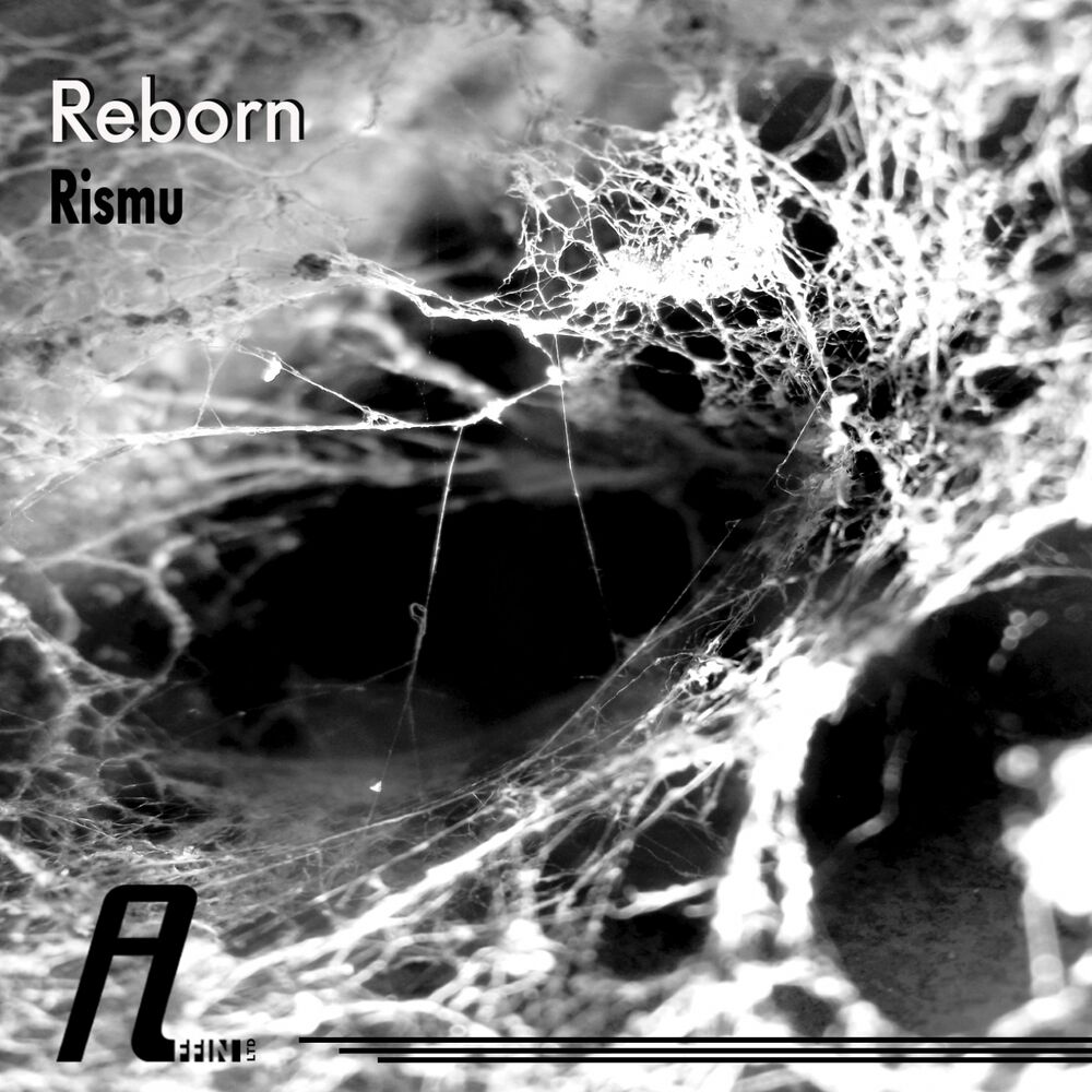 Picture of Reborn