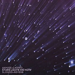 Cover of Stars Leave Me Now (slowed + reverb) (Caspro Remix)