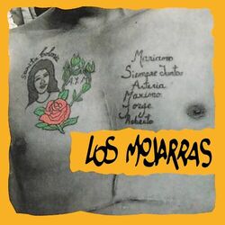 Cover of Sarita Colonia