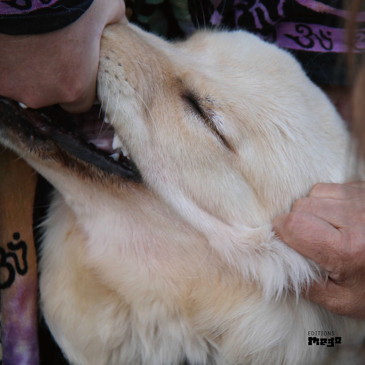 Album cover of It's Hard for Me to Say I'm Sorry