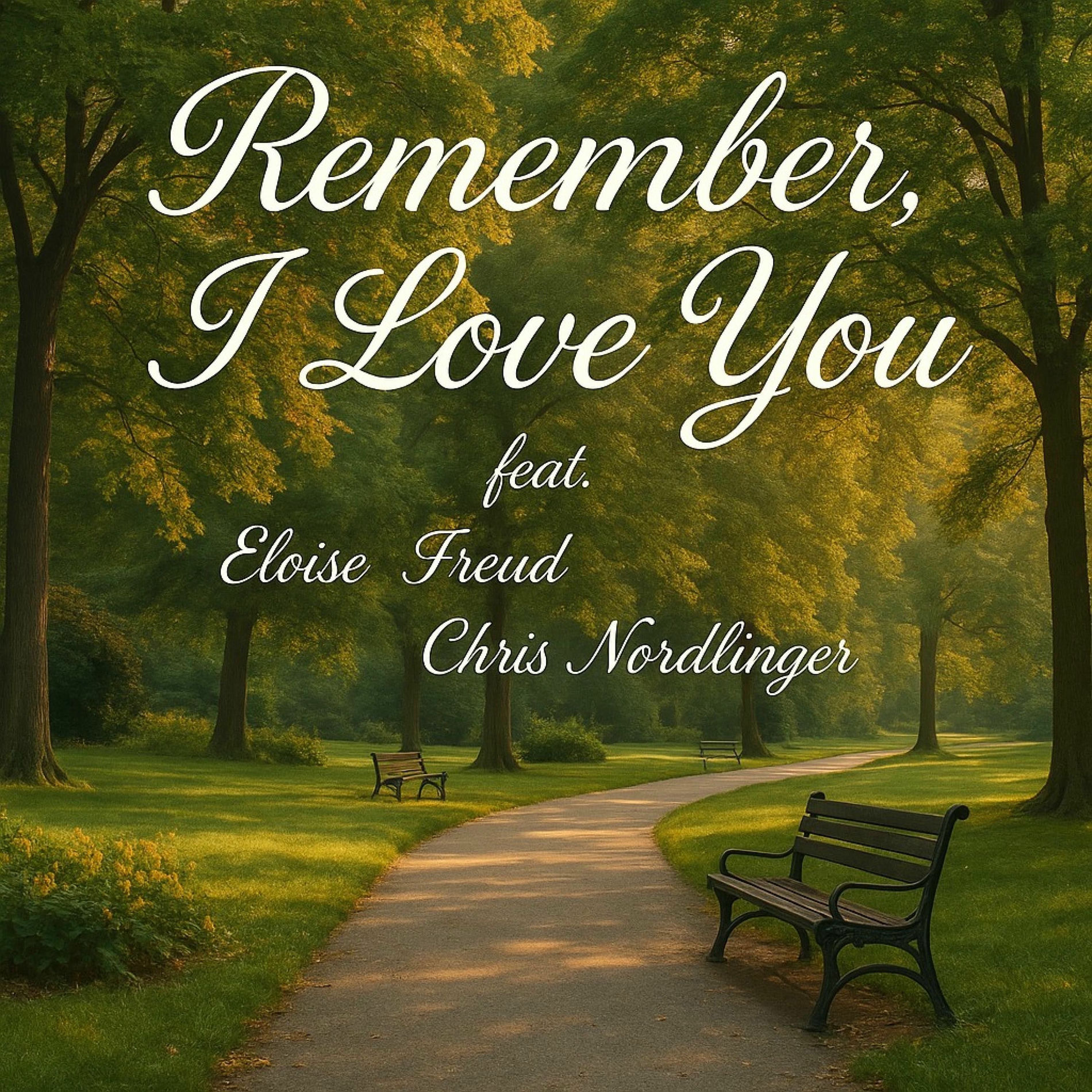 Album cover of remember, I love you