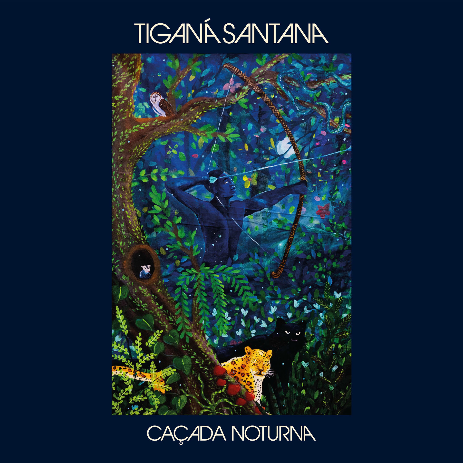 Album cover of Caçada Noturna