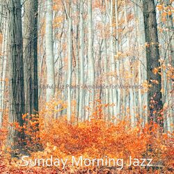 Cover of Beautiful Jazz Piano - Ambiance for Weekends