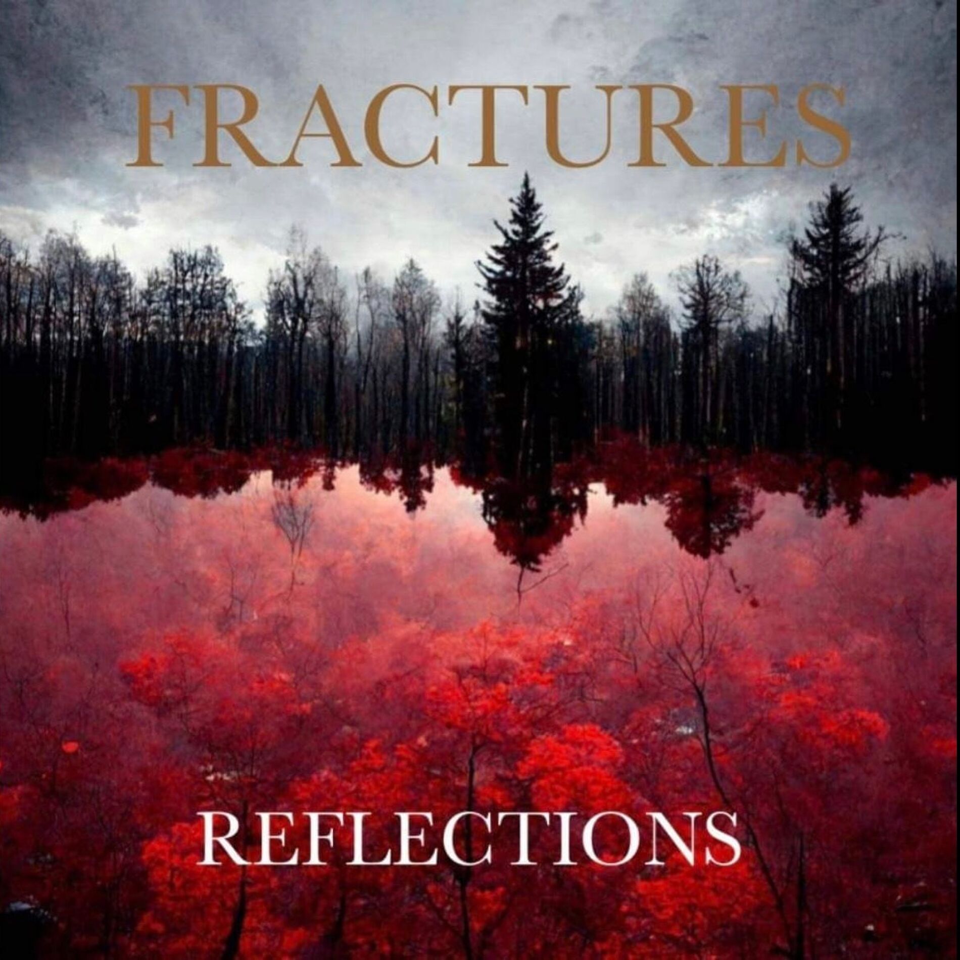 Album cover of Reflections