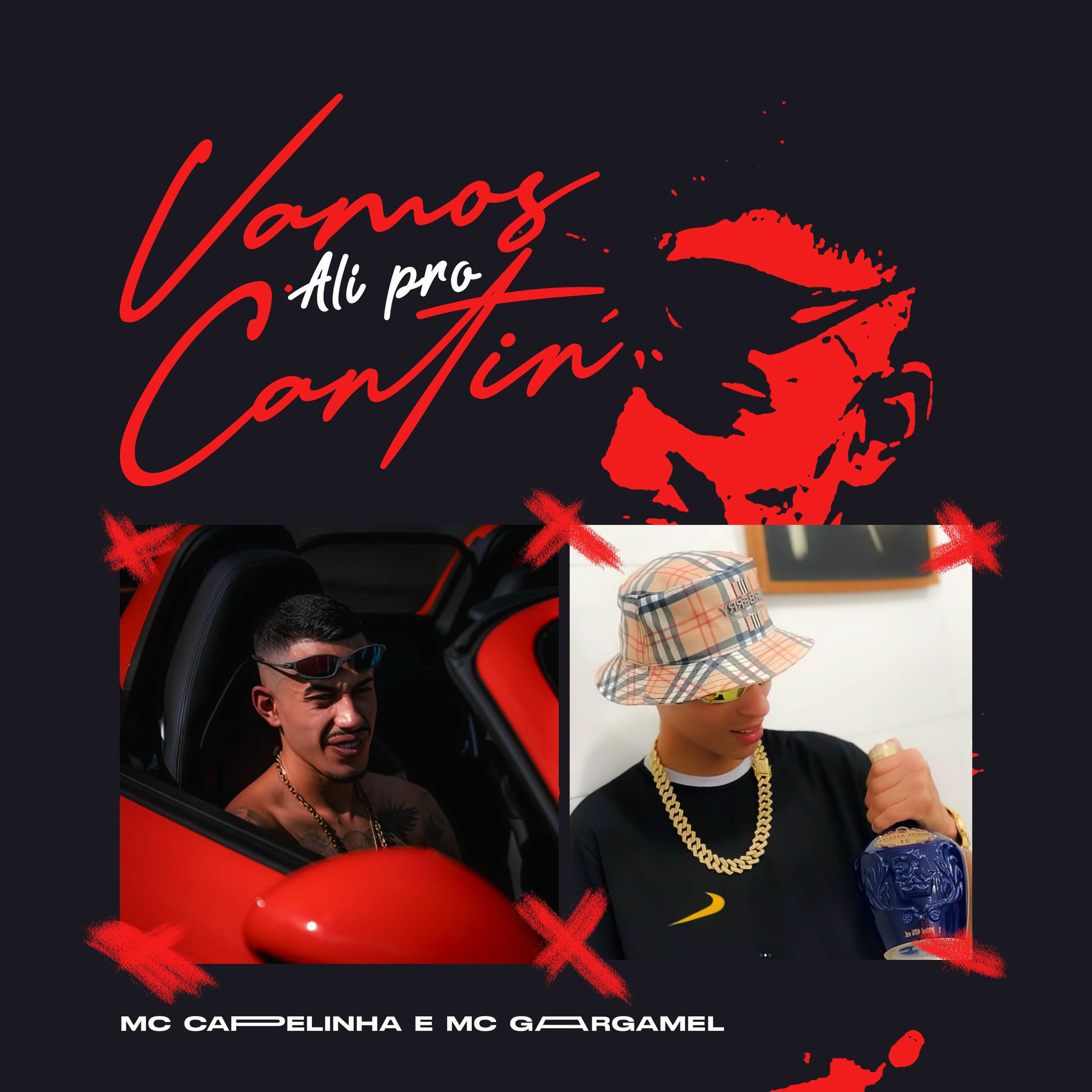 Album cover of Vamos Ali pro Cantin