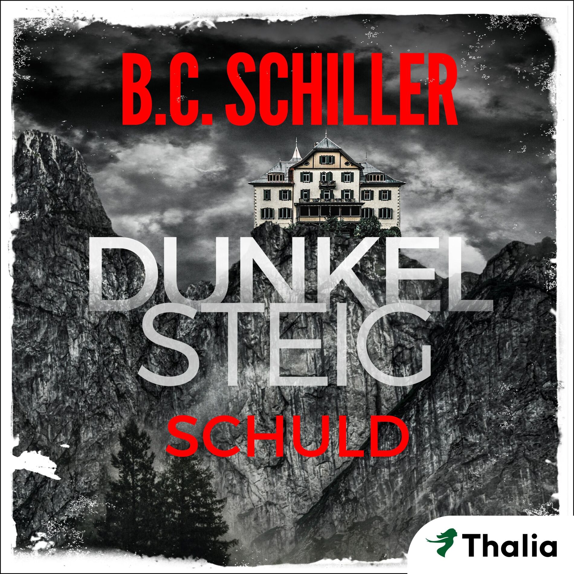 Album cover of Dunkelsteig - Schuld (Band 2 - Dunkelsteig-Trilogie)