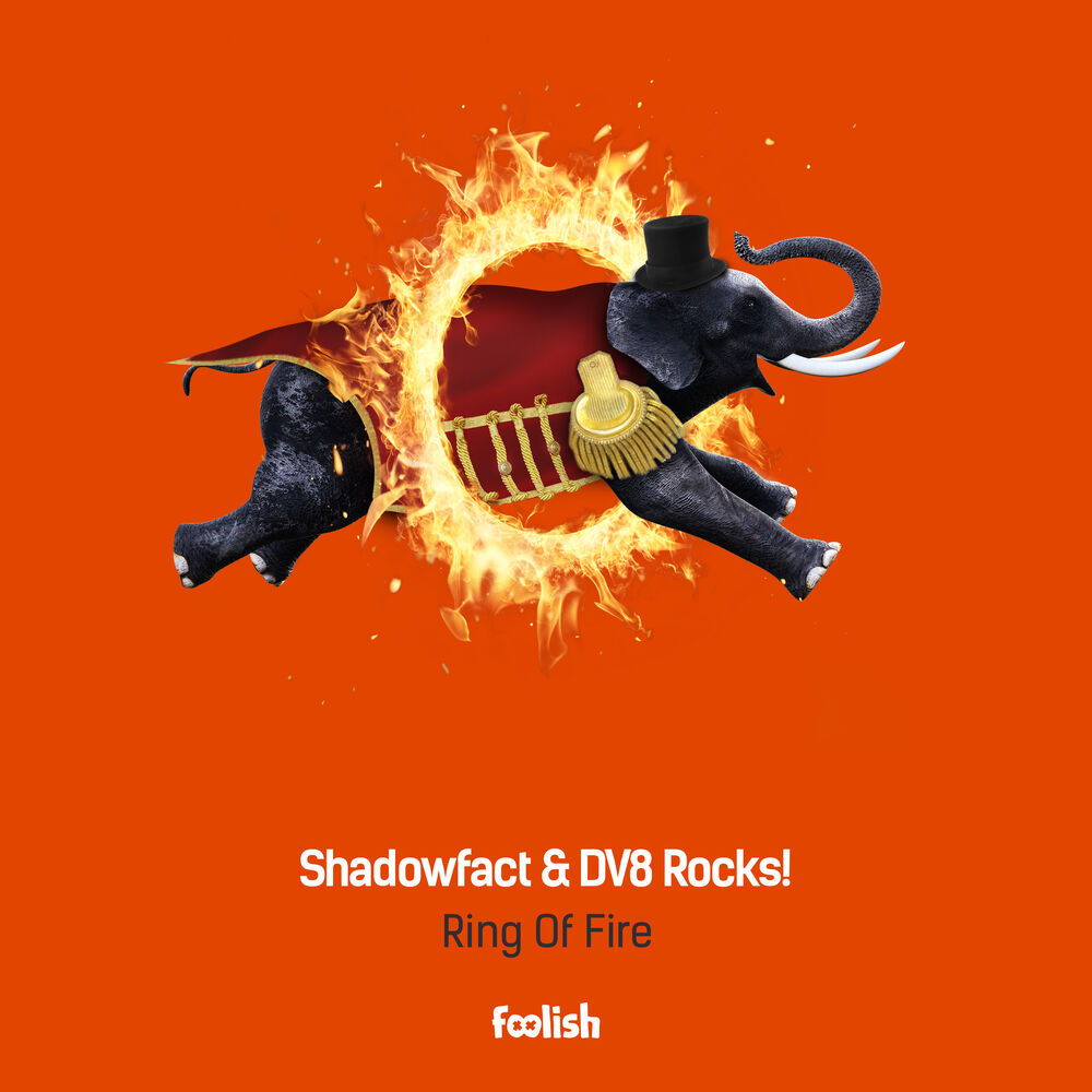 Picture of Ring Of Fire (Radio Edit)