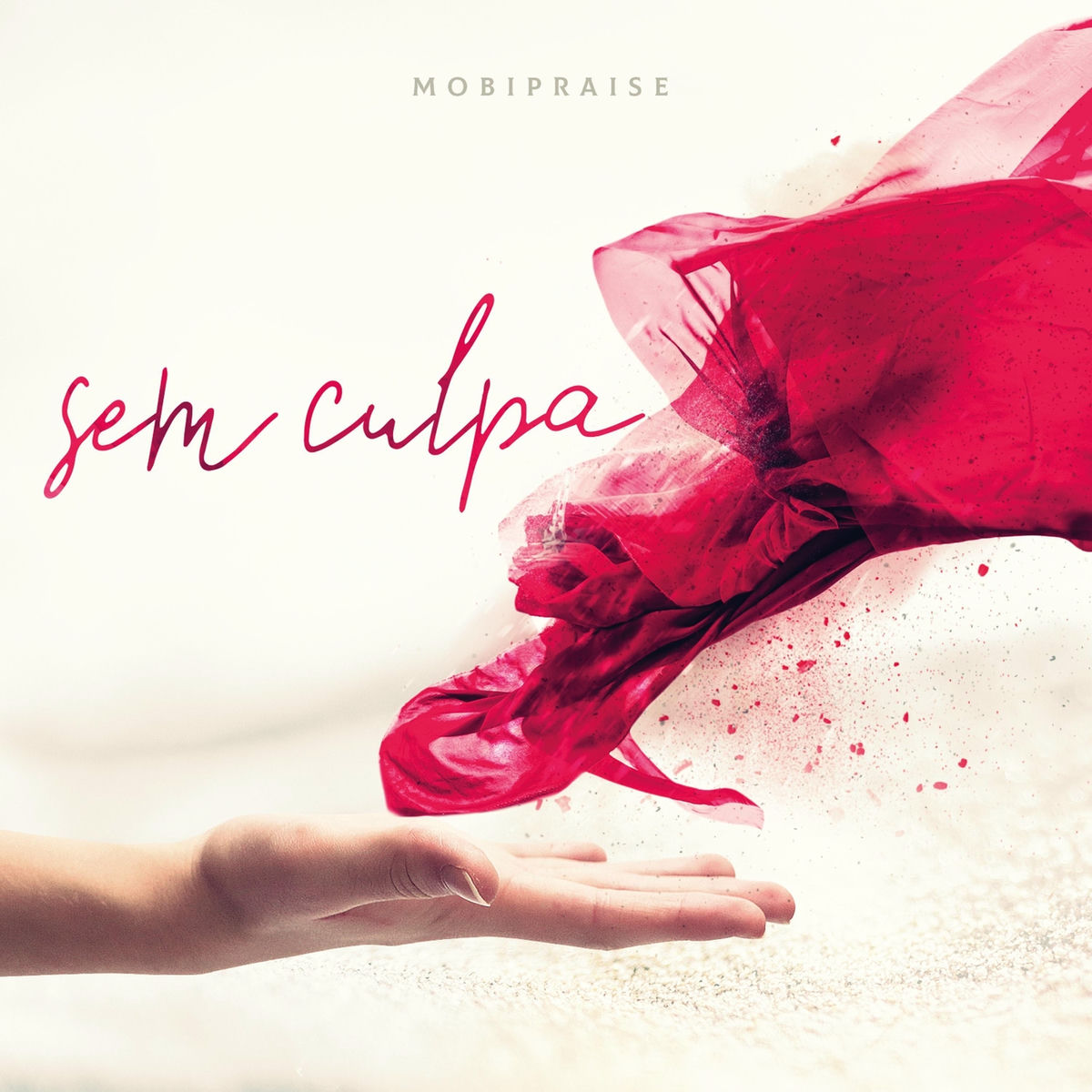 Album cover of Canto de Aleluia
