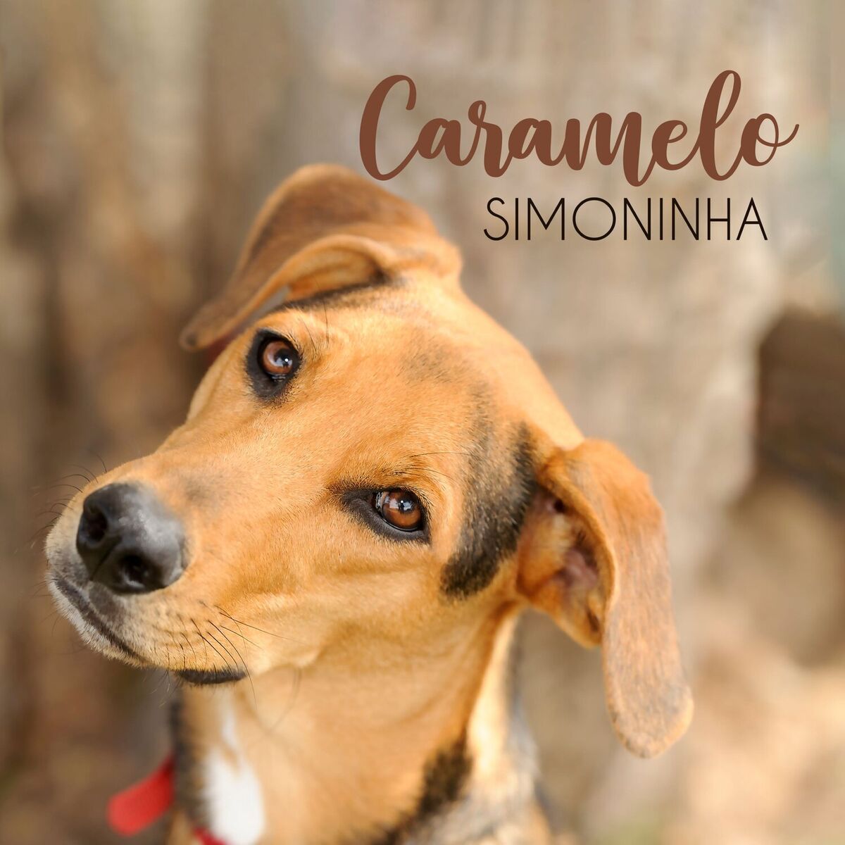 Album cover of Caramelo