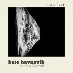 Cover of Into Dark