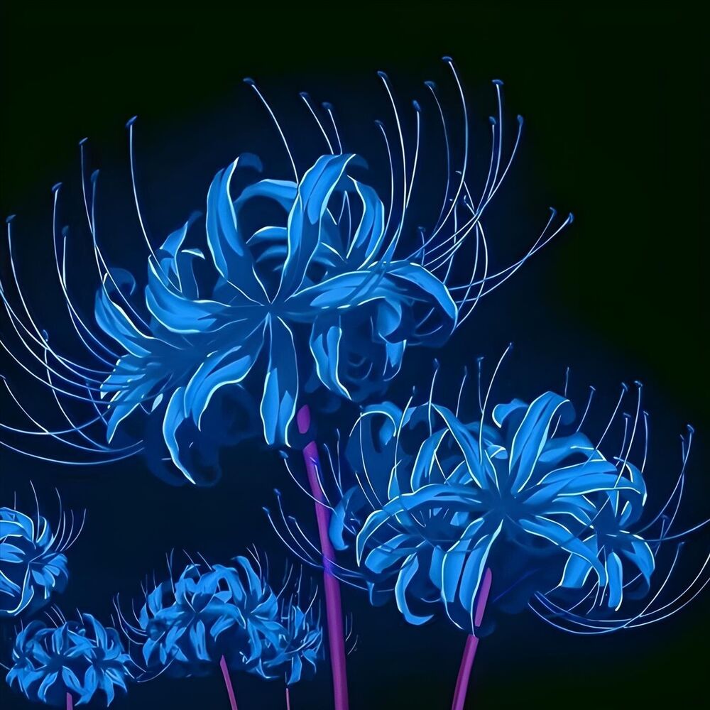 Picture of Flowers