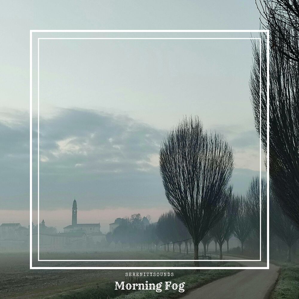 Picture of Morning Fog