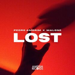 Cover of Lost