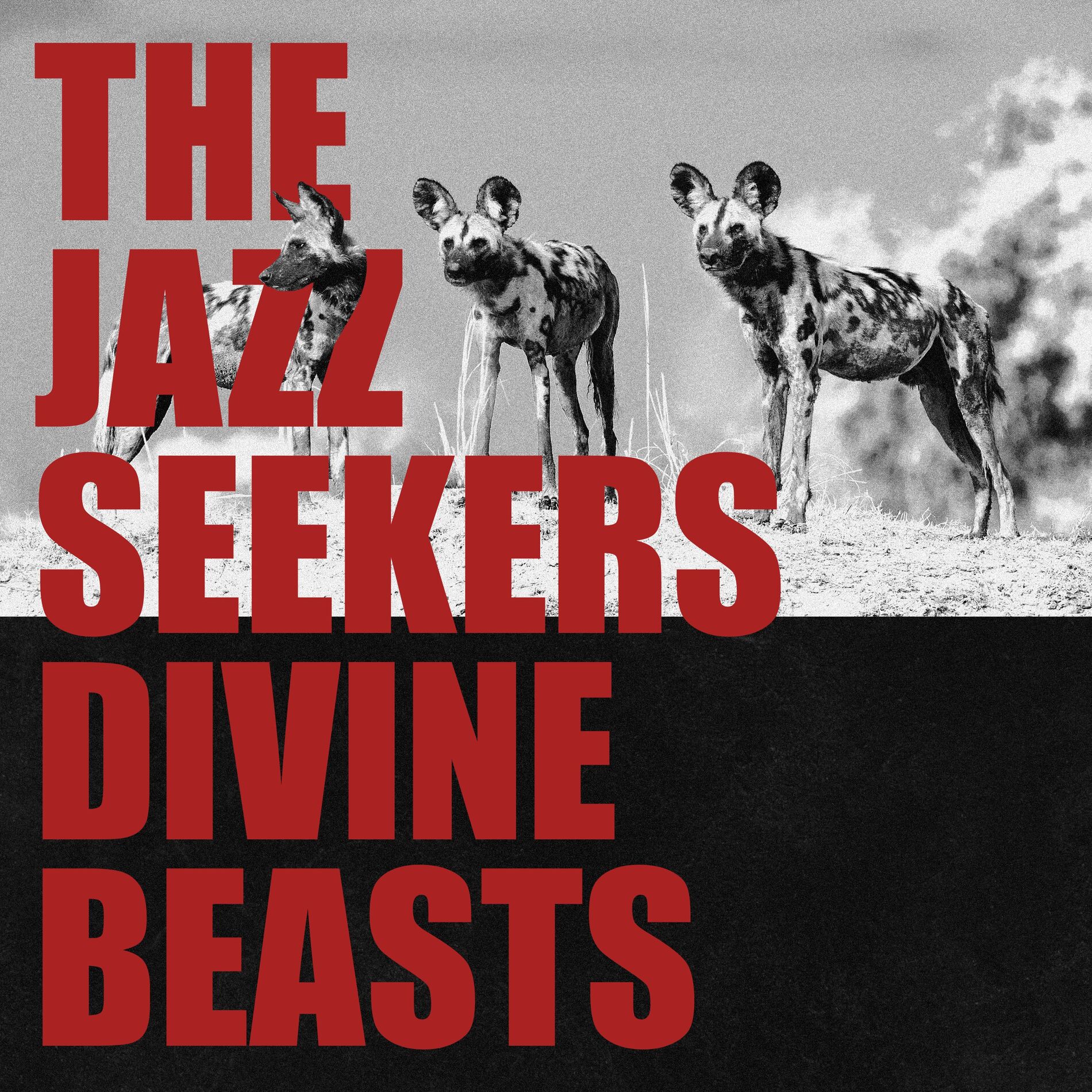 Album cover of Divine Beasts