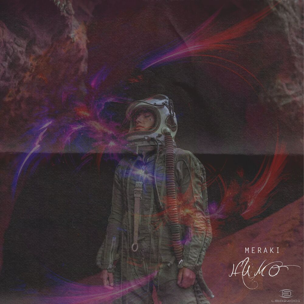 Picture of Meraki