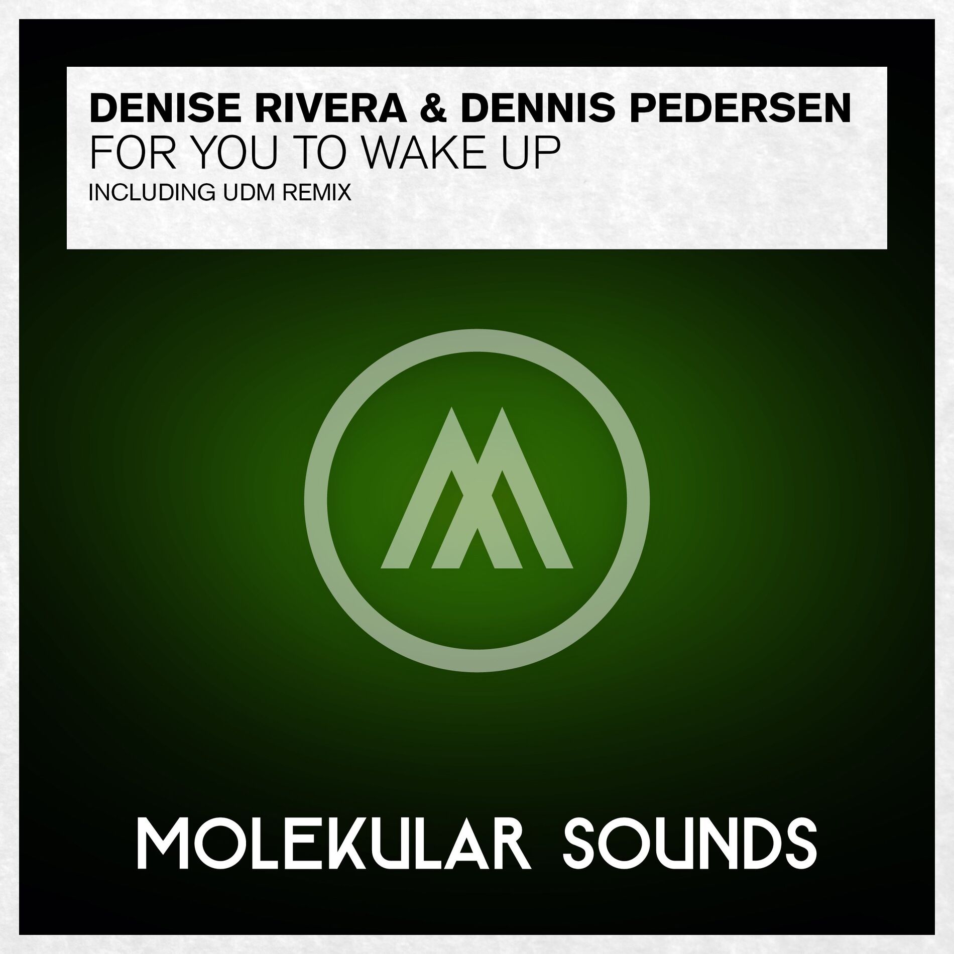 Album cover of For You To Wake Up