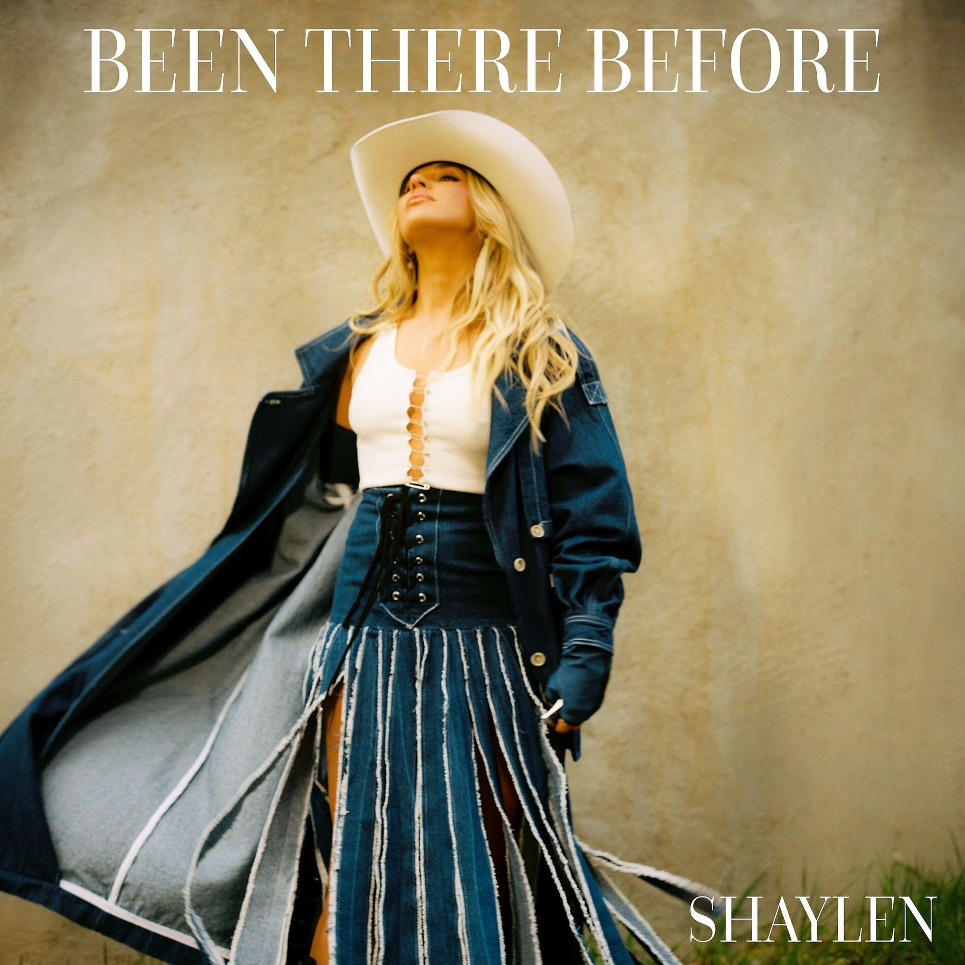 Album cover of Been There Before