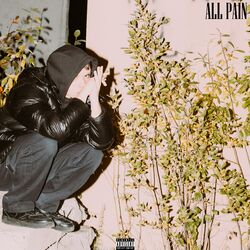 Cover of All Pain