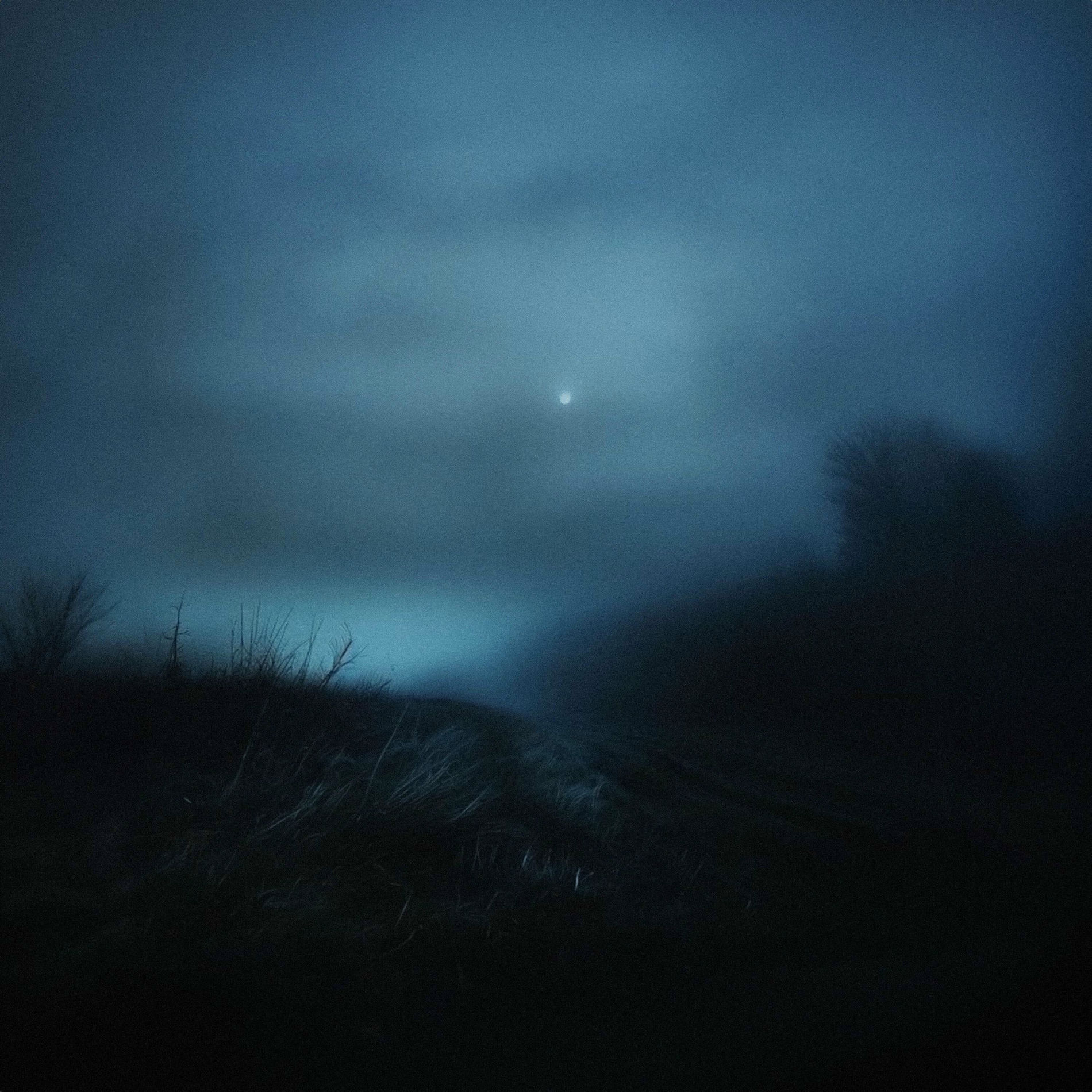 Album cover of overnight