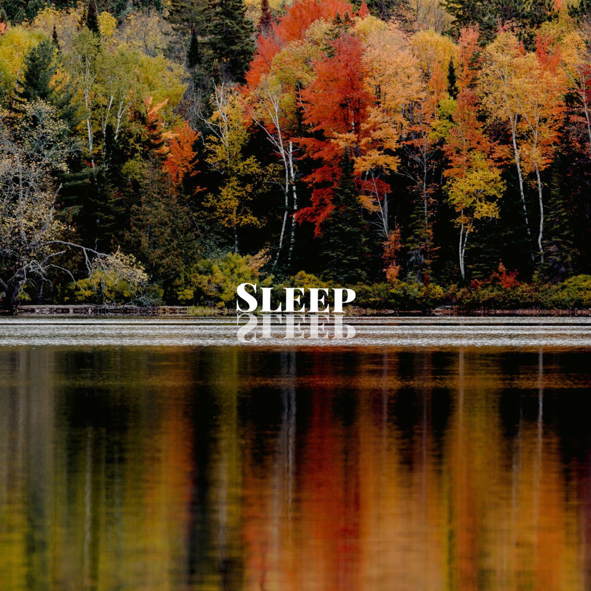 Album cover of Sleep