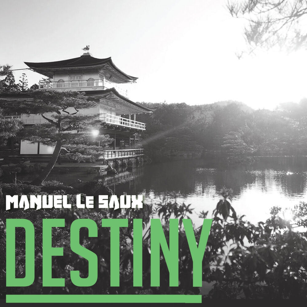 Picture of Destiny