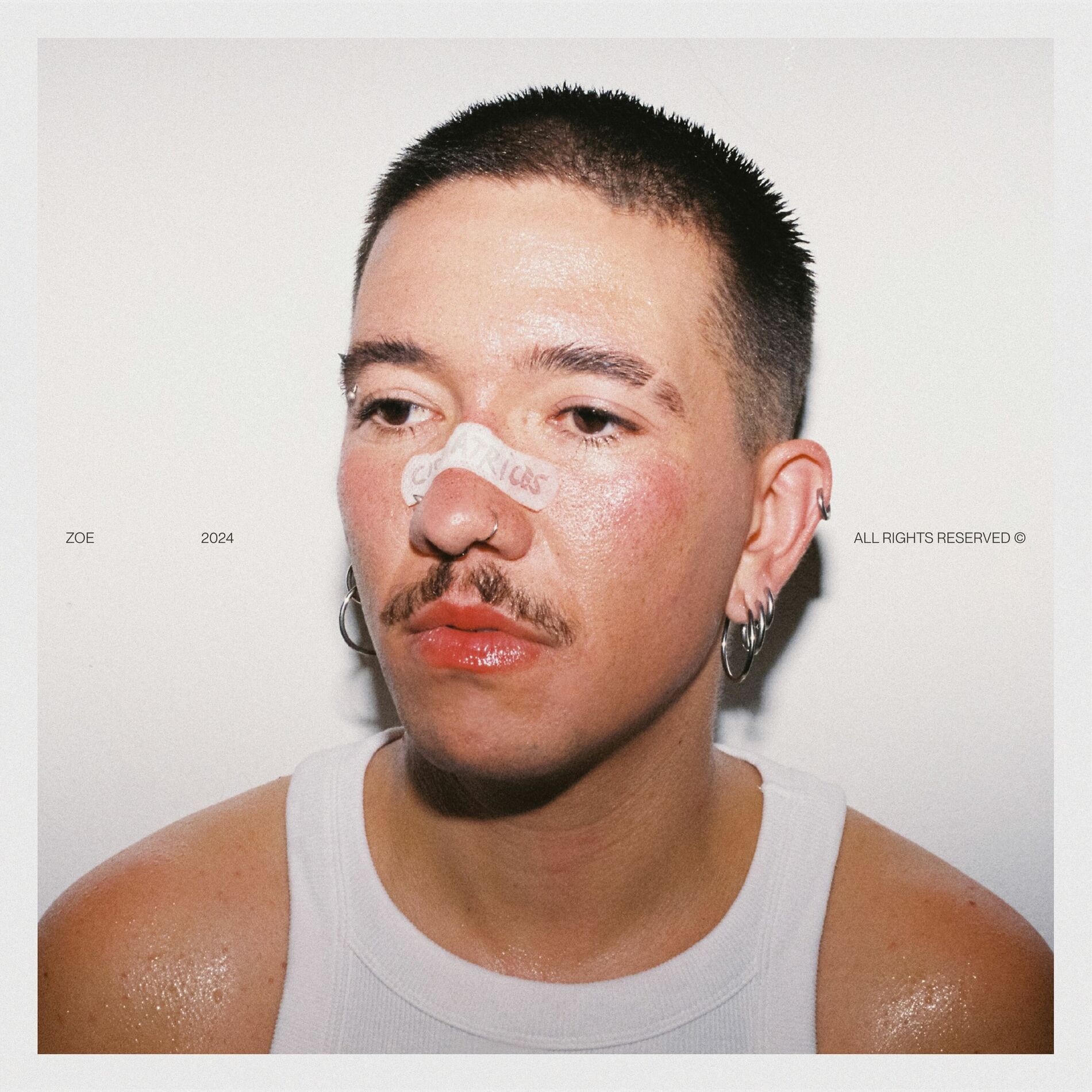 Album cover of Cicatrices