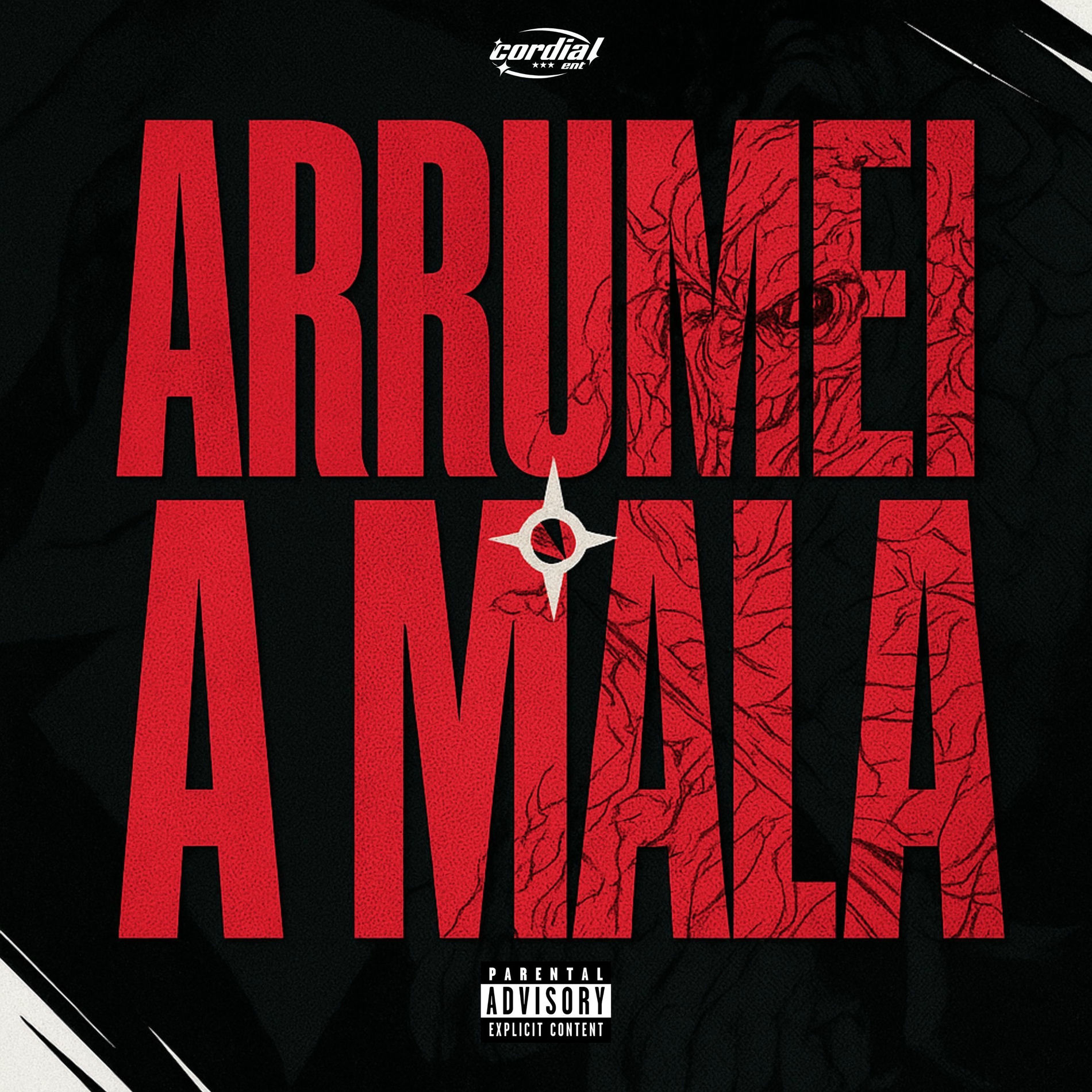 Album cover of Arrumei a mala