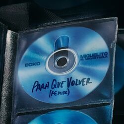 Cover of Para Que Volver (Remix)