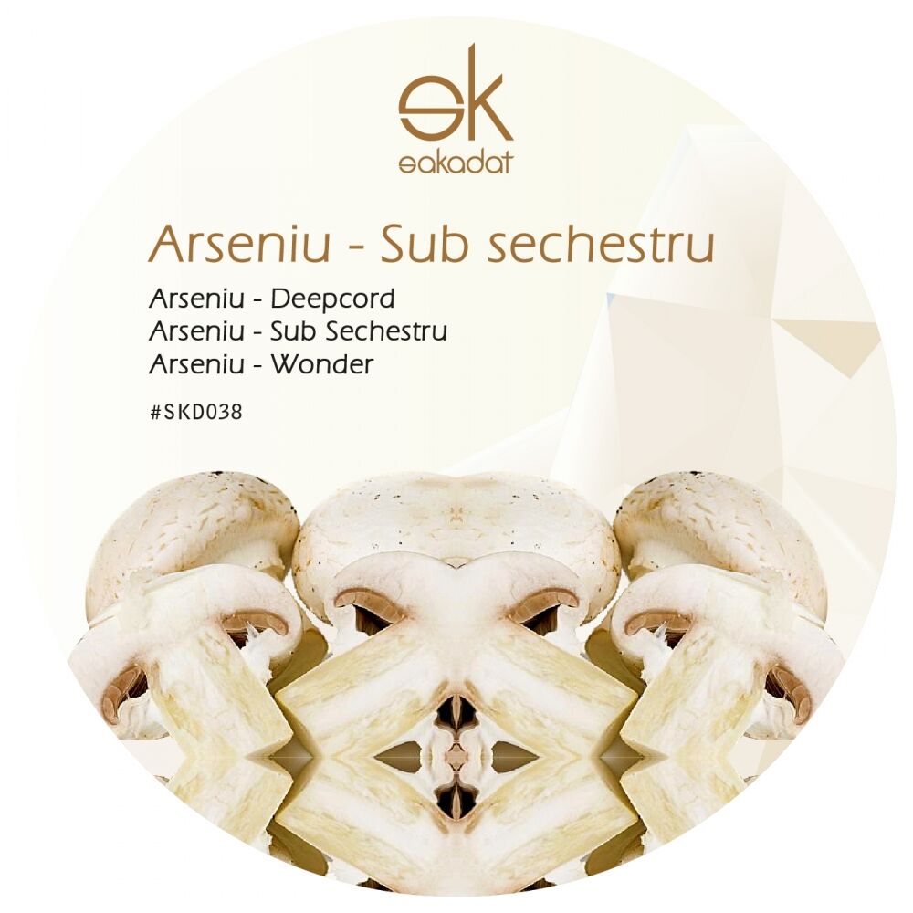 Picture of Sub Sechestru
