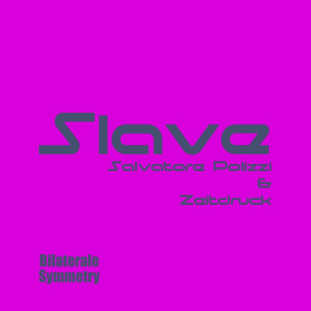 Picture of Slave
