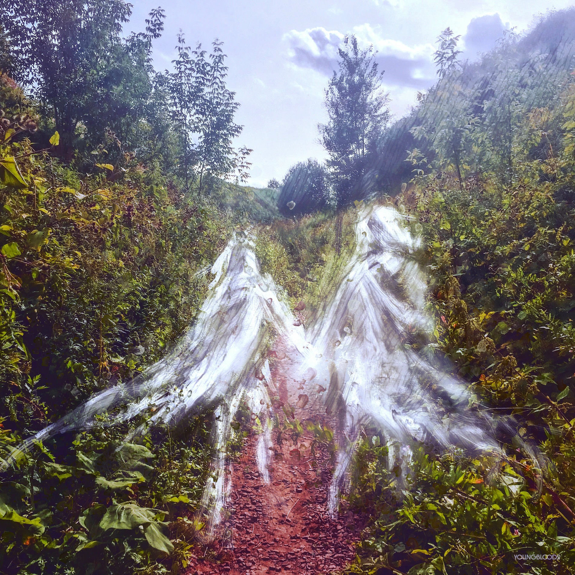 Album cover of Beamorose