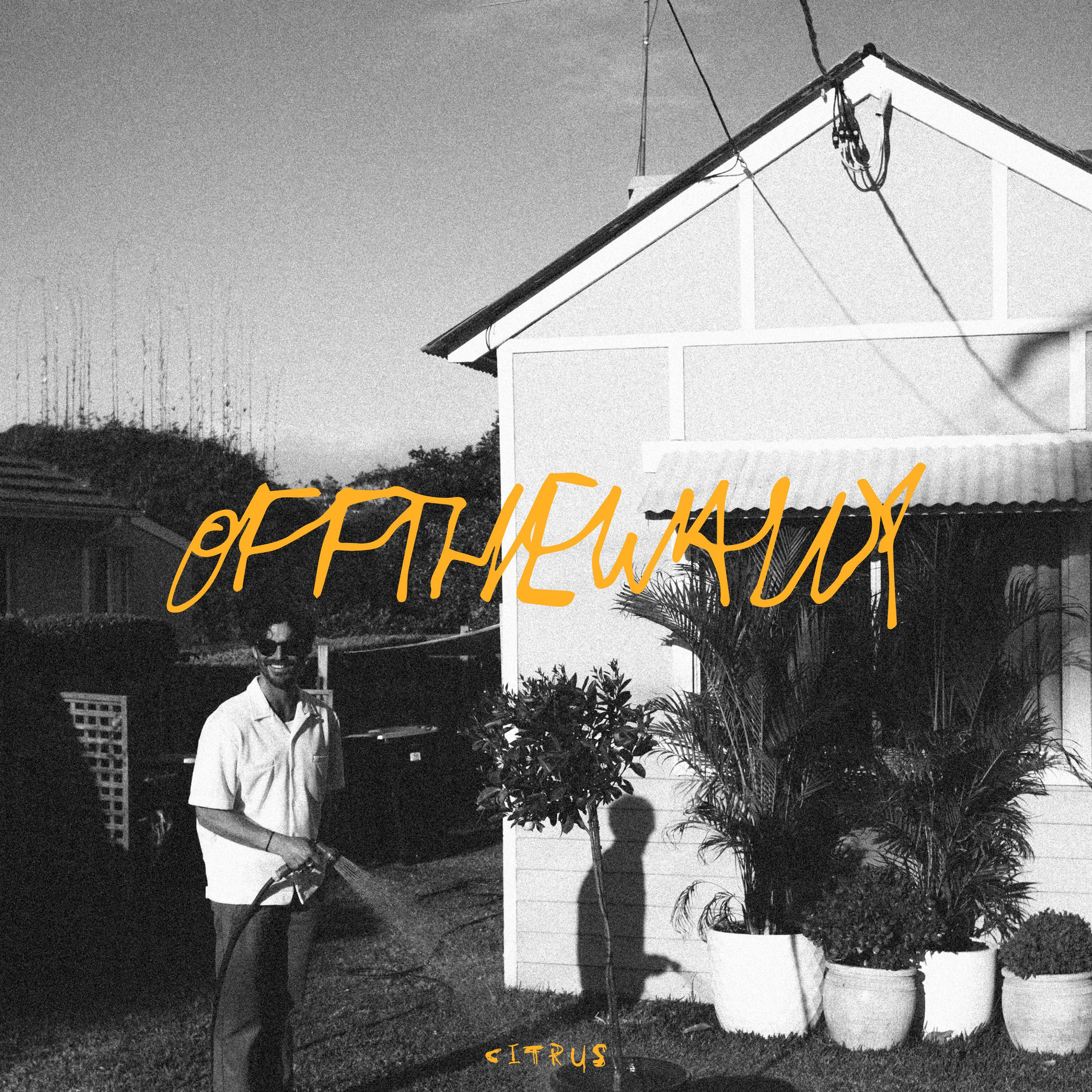 Album cover of Citrus